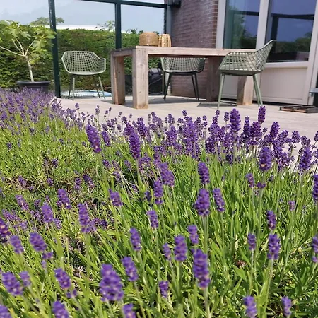 度假居 Modern Close To With Views Sint Maartensvlotbrug