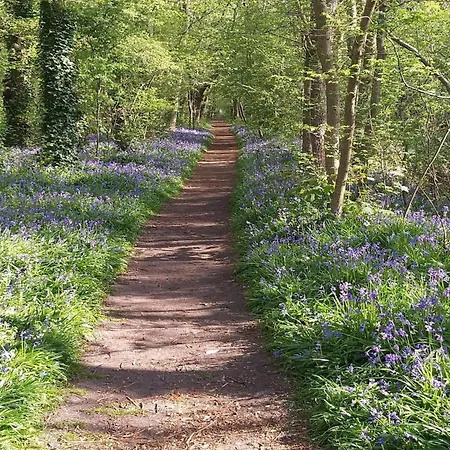 Modern Close To With Views 度假居 *