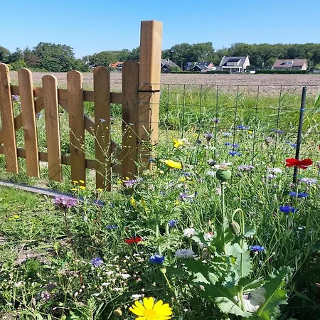 Modern Close To With Views * Sint Maartensvlotbrug