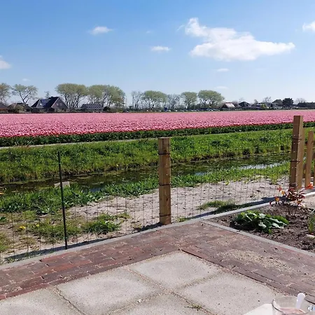 Holiday home Near Sint Maartenszee