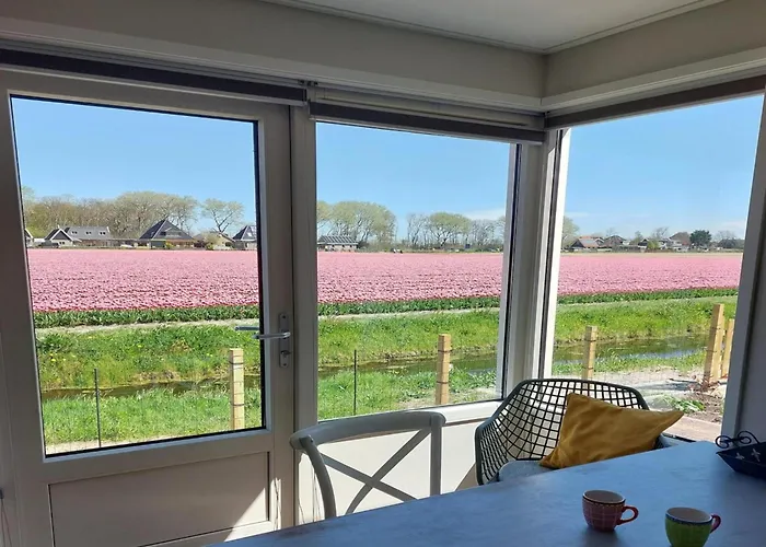 Modern Close To With Views * Sint Maartensvlotbrug