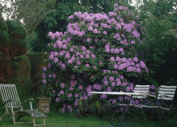 Modern Close To With Views Casa de Férias Sint Maartensvlotbrug