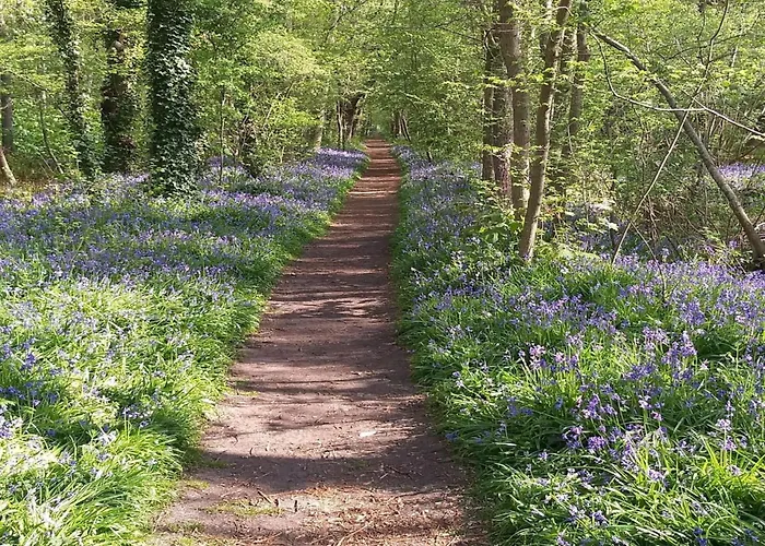 Modern Close To With Views Casa de Férias *