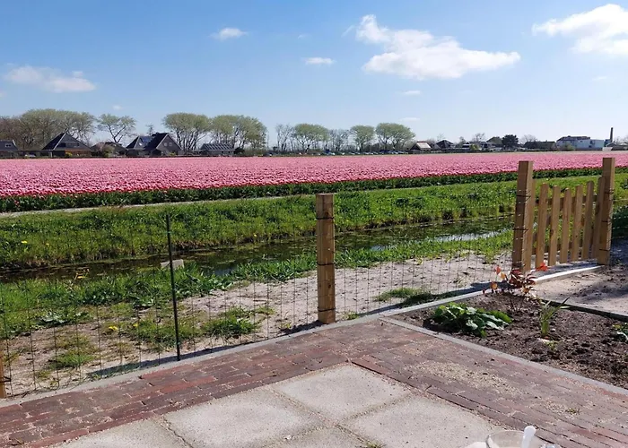 Casa de Férias Modern Close To With Views